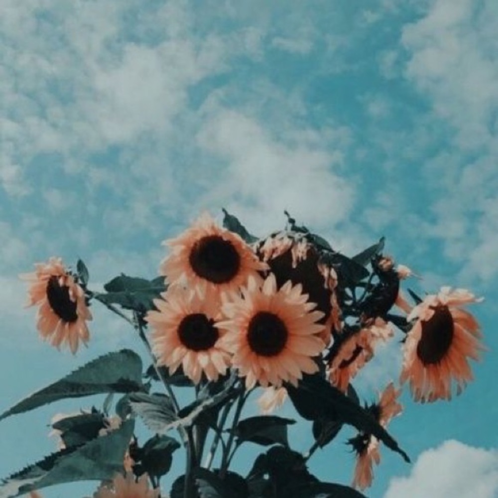 Meet your Posher, Madelyn